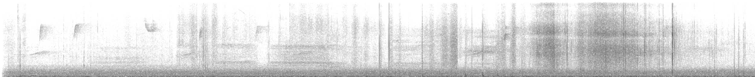 rødsidetovi - ML644760528