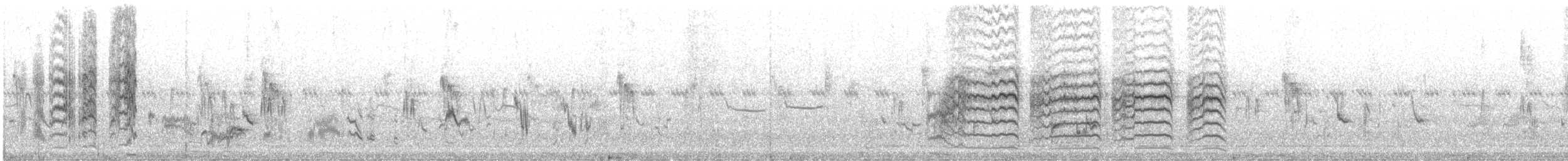 Red-tailed Shrike - ML644761671