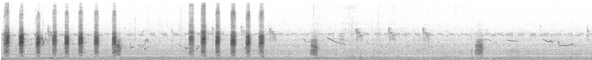 Red-tailed Shrike - ML644761672