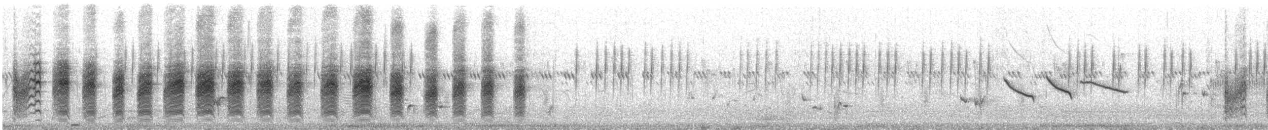 Red-tailed Shrike - ML644761673