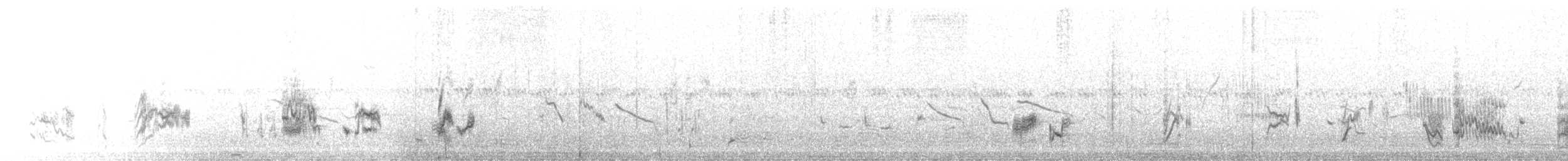 Red-tailed Shrike - ML644761675