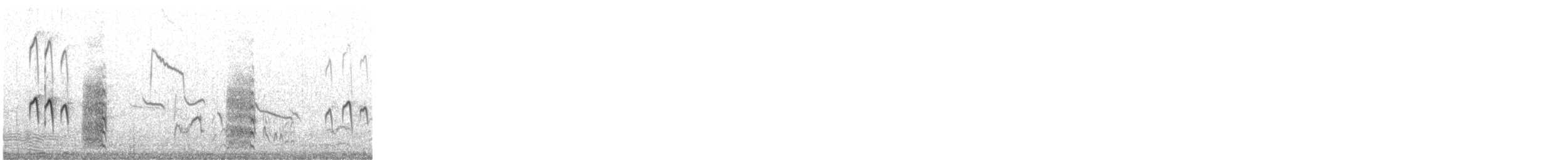 vodouš bahenní - ML644761688