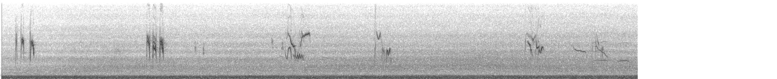 נחליאלי לבן - ML644761720