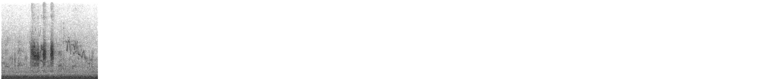 Pie-grièche isabelle (isabellinus) - ML644761776