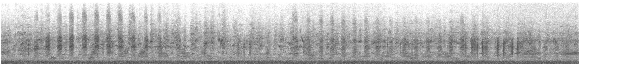 Pie-grièche isabelle (isabellinus) - ML644761777