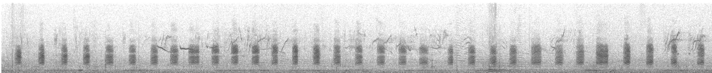 Pie-grièche isabelle (isabellinus) - ML644761781