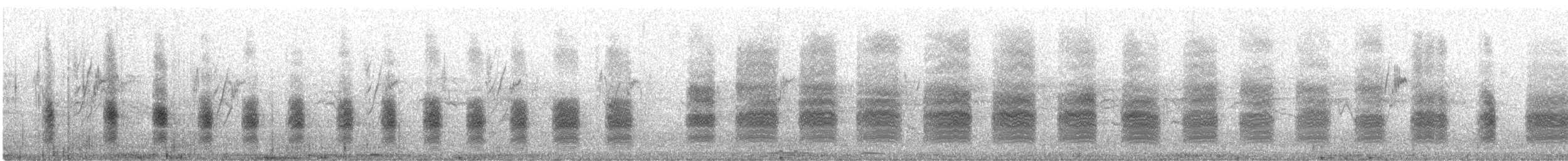 Pie-grièche isabelle (isabellinus) - ML644761782