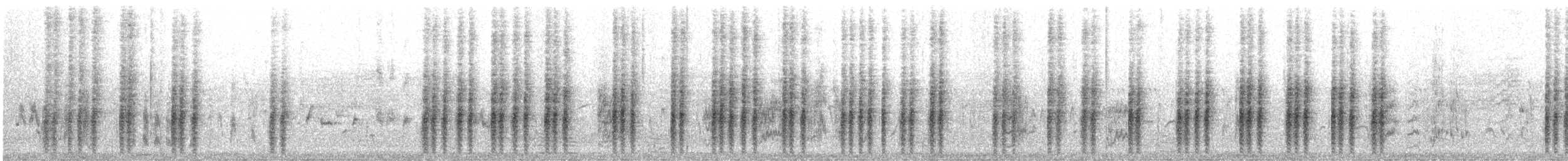 Lezkari zalapartaria - ML644761831