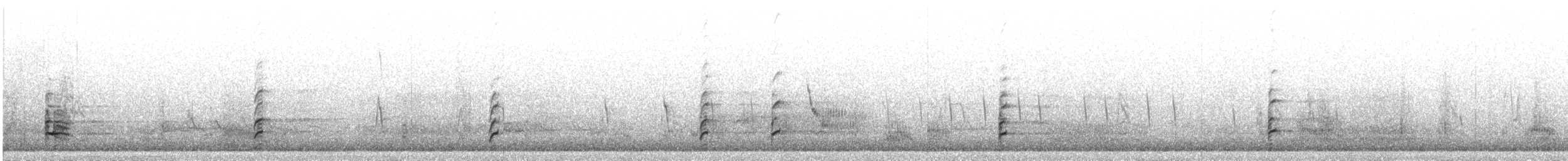 Échasse blanche - ML644762003