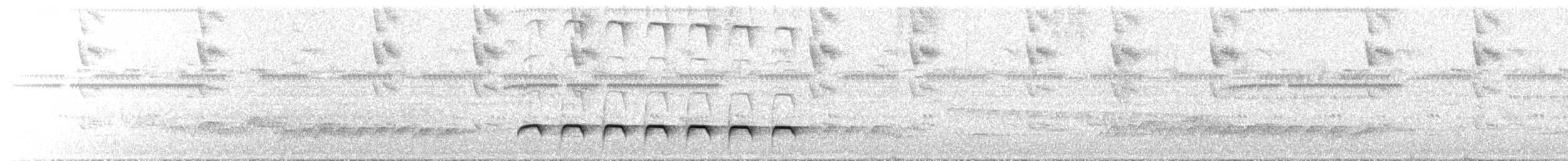 White-shouldered Fire-eye - ML644762436