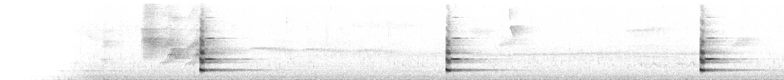 Bare-throated Bellbird - ML644762506