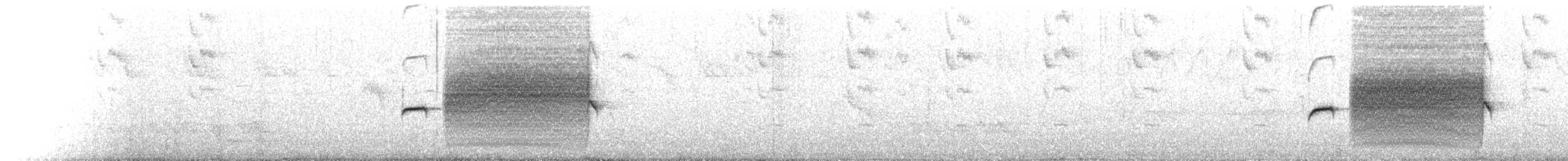 Ochre-rumped Antbird - ML644762552