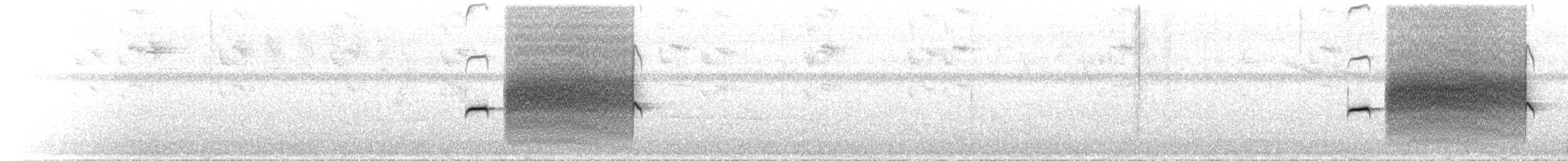 Ochre-rumped Antbird - ML644762553