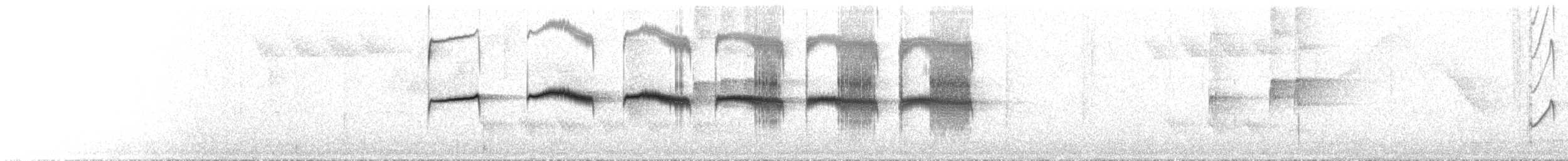 Scaled Antbird - ML644762563