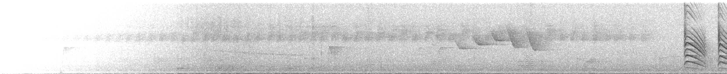 Gray-hooded Flycatcher - ML644762608