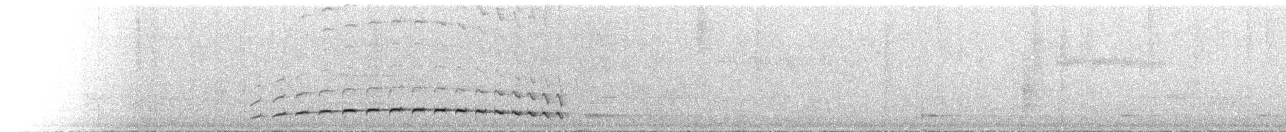 Spot-breasted Antvireo - ML644762673