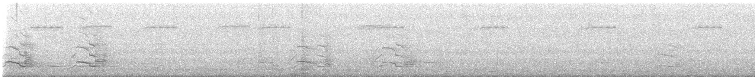 Желтохвостый траурный какаду - ML644767110