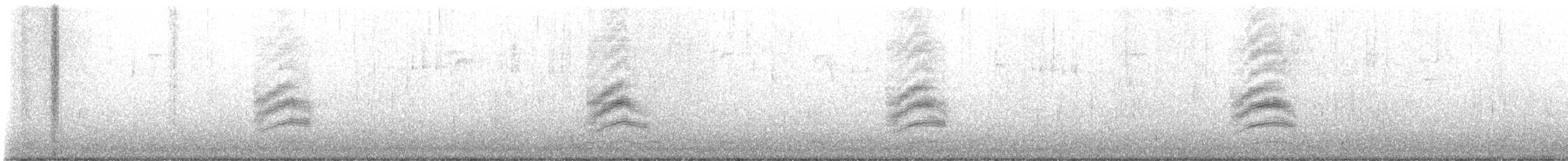 Пятнистый тохи - ML644767198