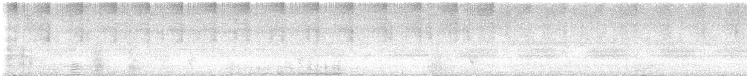 Sahul Cicadabird - ML644768562