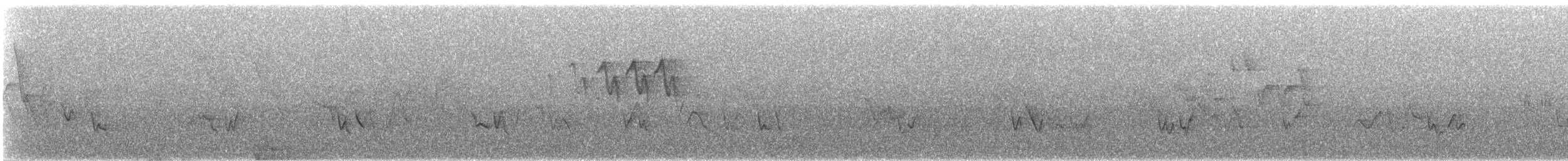 Red-eyed Vireo - ML644769304