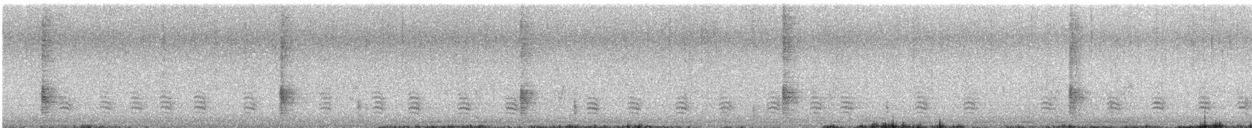 Common Grackle (Bronzed) - ML644770257