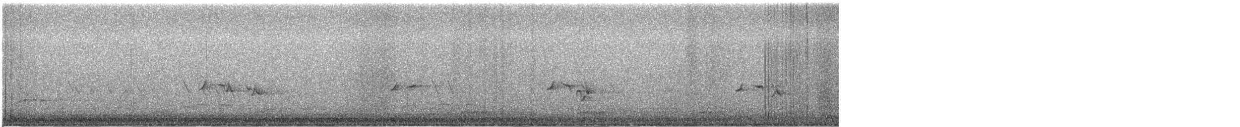 Смеречник тайговий - ML644770467