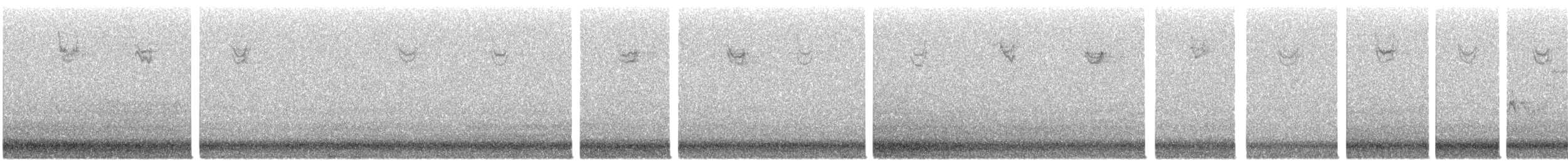 White-throated Sparrow - ML644770671