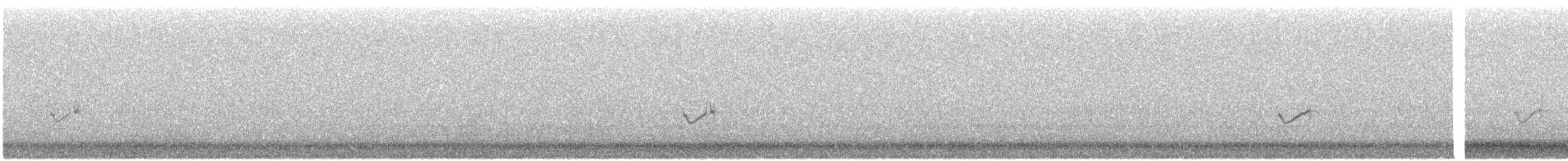 Semipalmated Plover - ML644770796