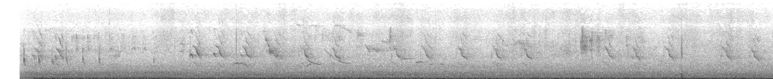 Rose-ringed Parakeet - ML644770878