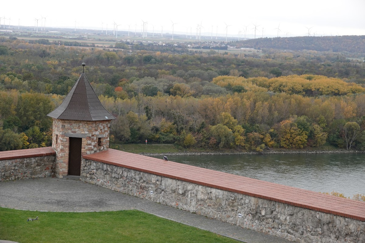 Leş Kargası - ML644770924