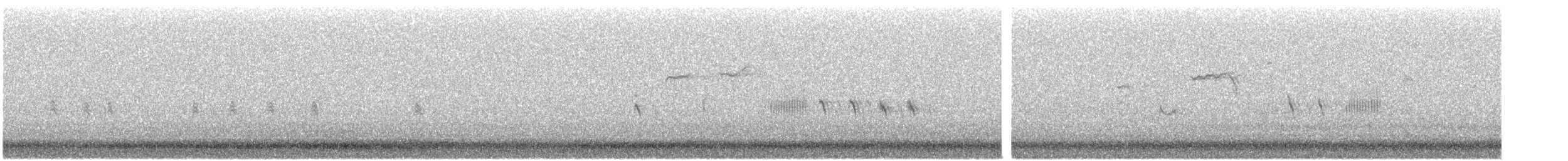 Chingolo Cantor - ML644770990