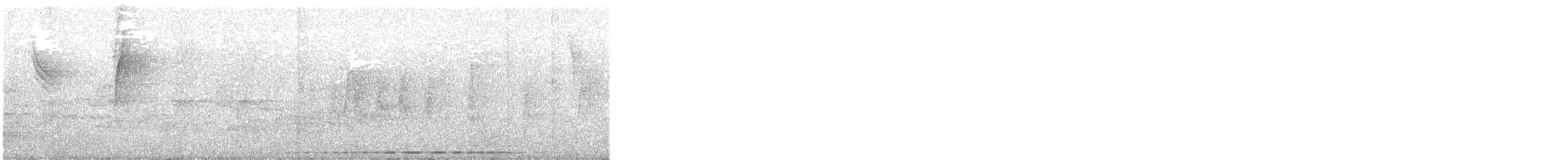 Мурашниця гватемальська - ML644771246