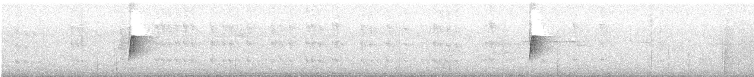 Піві-малюк оливковий - ML644771300