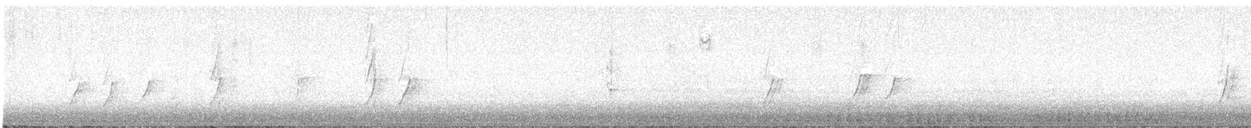 Cave Swallow (Texas) - ML644771543