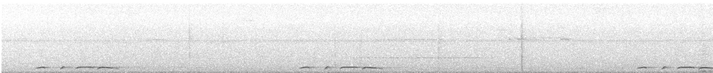 holub vínový - ML644771786