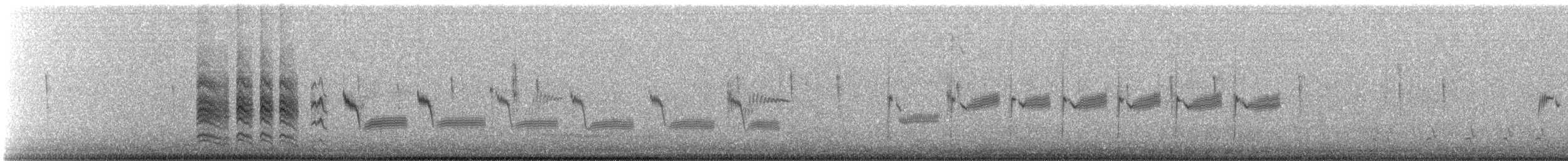 Rock Wren - ML644772587