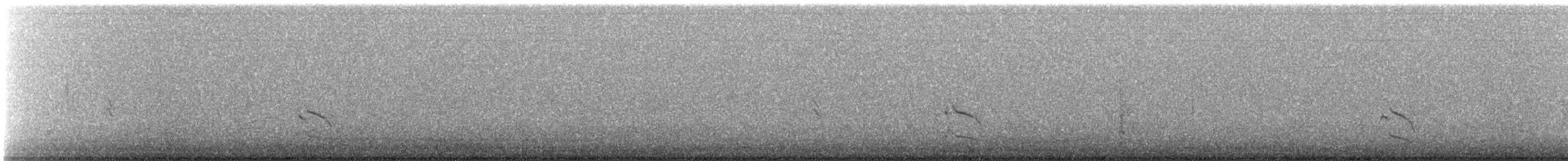 Gilded Flicker - ML644773213