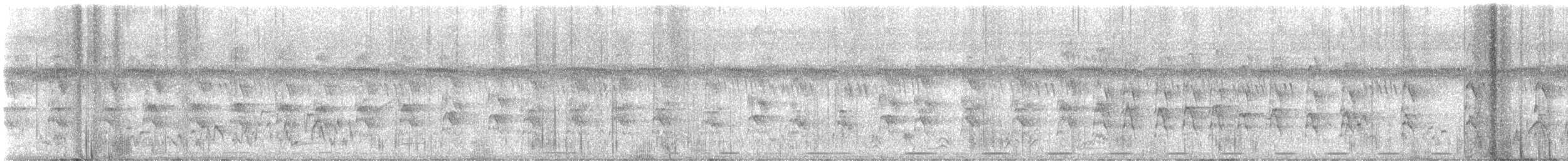 West African Pied Hornbill - ML644773380