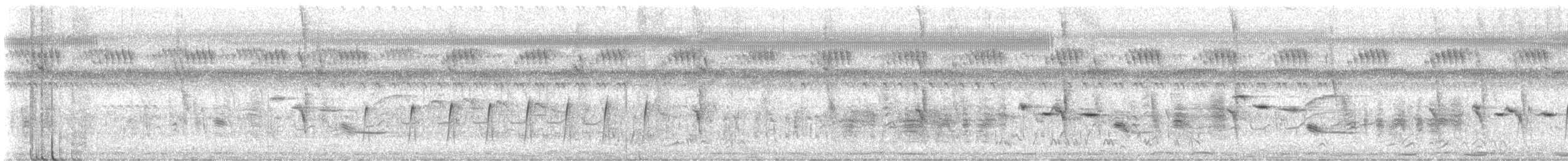 Green-backed Camaroptera (Gray-backed) - ML644773539