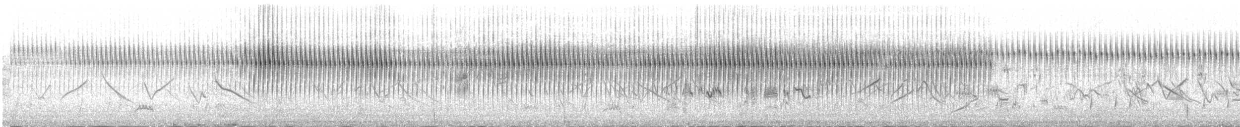 Кобилочка-цвіркун - ML644773560
