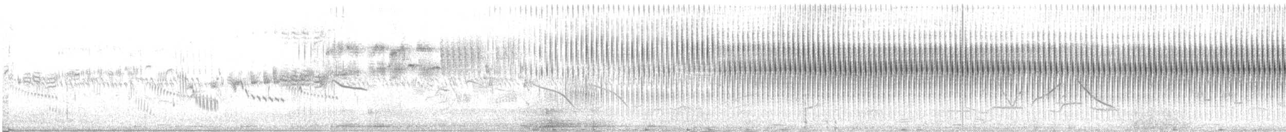 Кобилочка-цвіркун - ML644773570