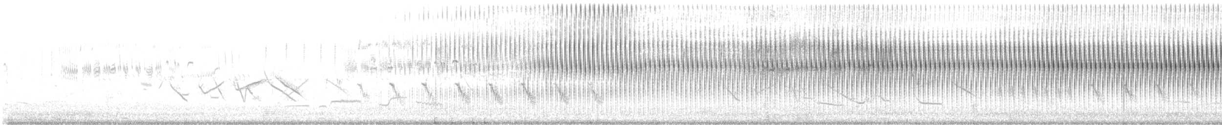 Кобилочка-цвіркун - ML644773573