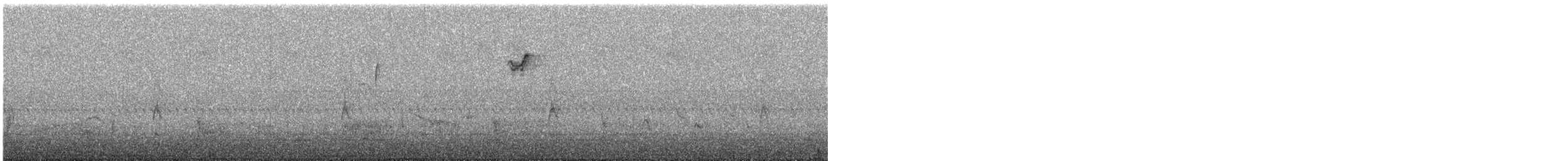 sangspurv - ML644773998