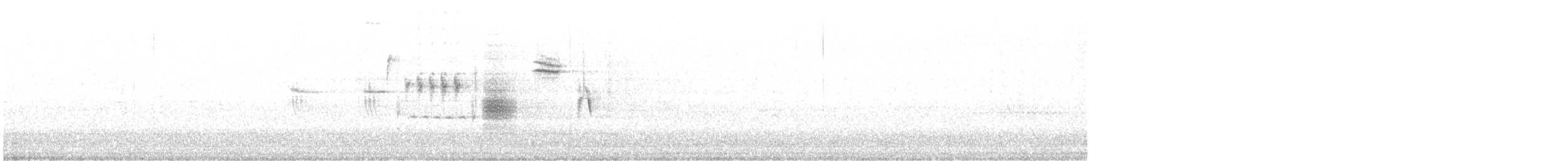 Chingolo Cantor - ML644774075