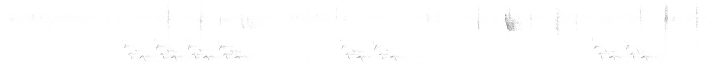 Carolina Wren - ML644774235