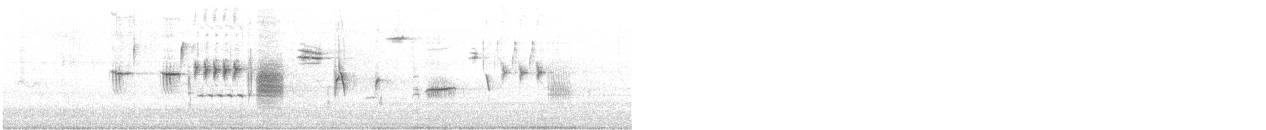 Chingolo Cantor - ML644774287