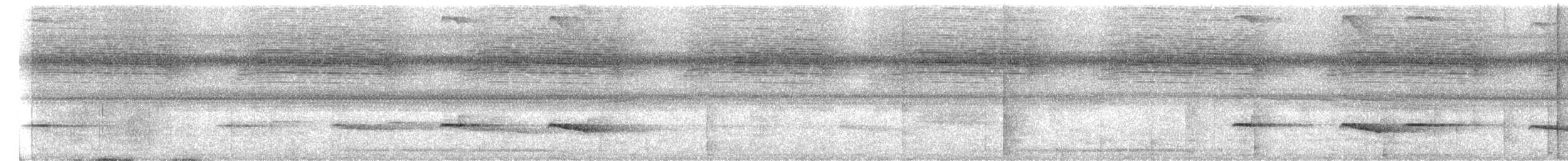 Chestnut-backed Antbird - ML644774363