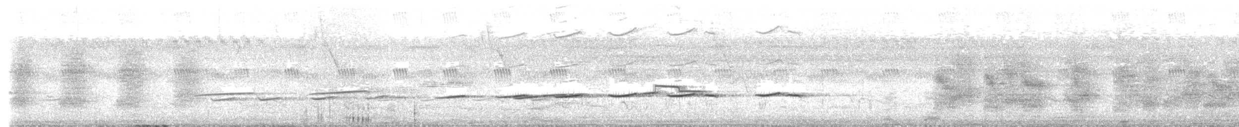 kukačka žíhaná - ML644774783