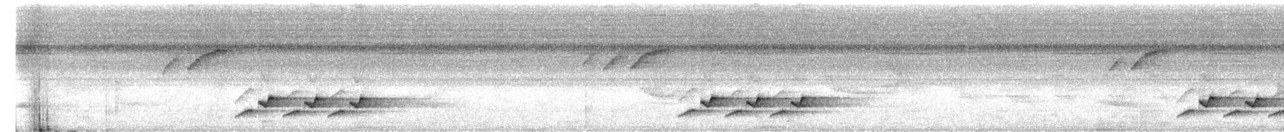 White-breasted Wood-Wren - ML644774916