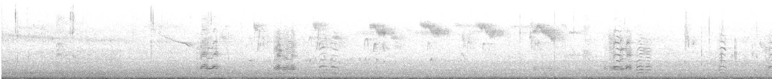 husa krátkozobá - ML644774943